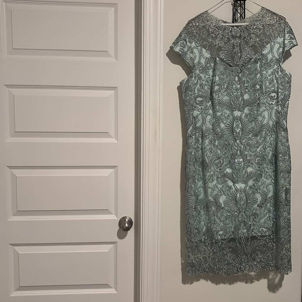 Tadashi Shoji Elegant Lace Women dress beaded W/ lace great weddings or party